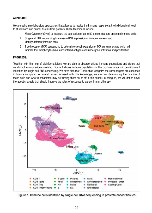 2019 Research Progress Report