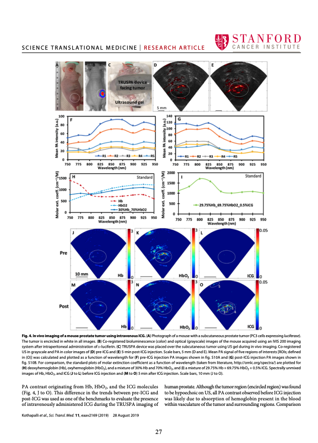 2019 Research Progress Report